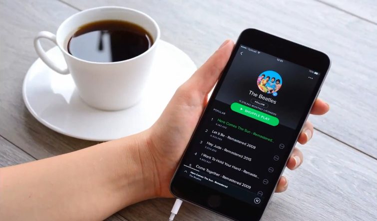 how to download songs from Spotify