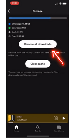 Remove All Downloads