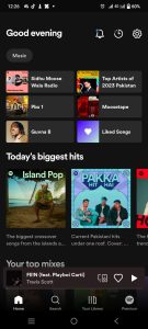 spotify-moile-app-home-section